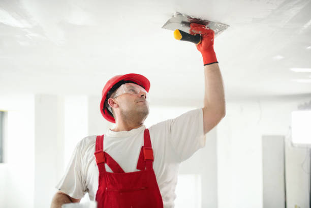 Best Wallpaper Removal and Painting  in Nocatee, FL