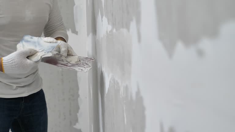 Reliable Nocatee, FL Dry wall and painting Solutions